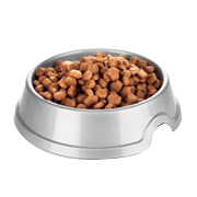 Pet Accessories icon